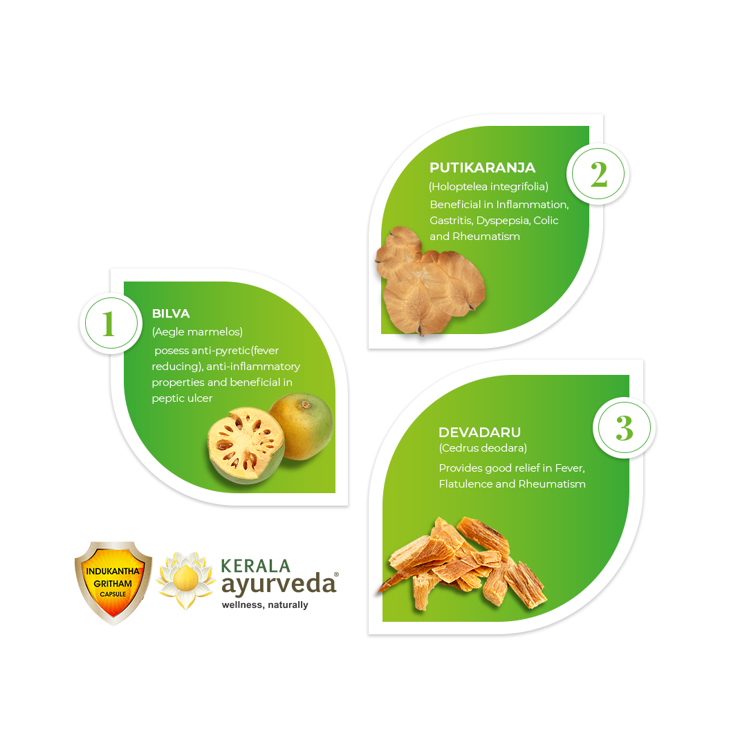 Banner illustrating key ingredients of Indukantha Gritham Capsule: Bilva, Putikaranja, and Devadaru, detailing their benefits for anti-pyretic properties, inflammation, gastritis, and relief in fever and flatulence. – Kerala Ayurveda India