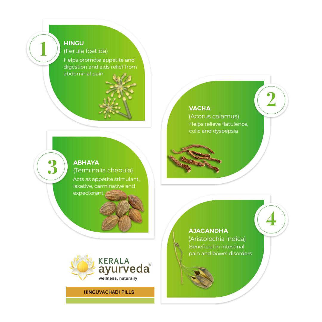 Leaf-shaped infographic highlighting four key herbs in Hinguvachadi Pills—Hingu, Vacha, Abhaya and Ajagandha—each with a botanical image and digestive-health benefit note – Kerala Ayurveda India