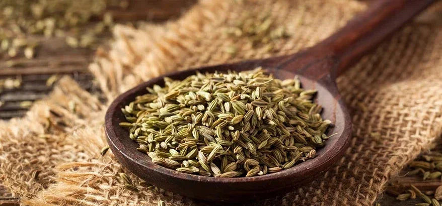 Complete Guide to Fennel: Benefits,Side effects, Uses and more!