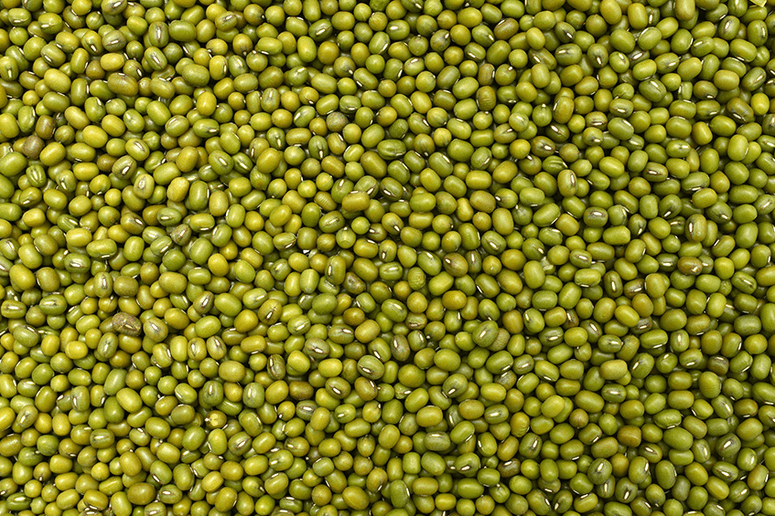 GREEN GRAM: A rich source of healthy proteins