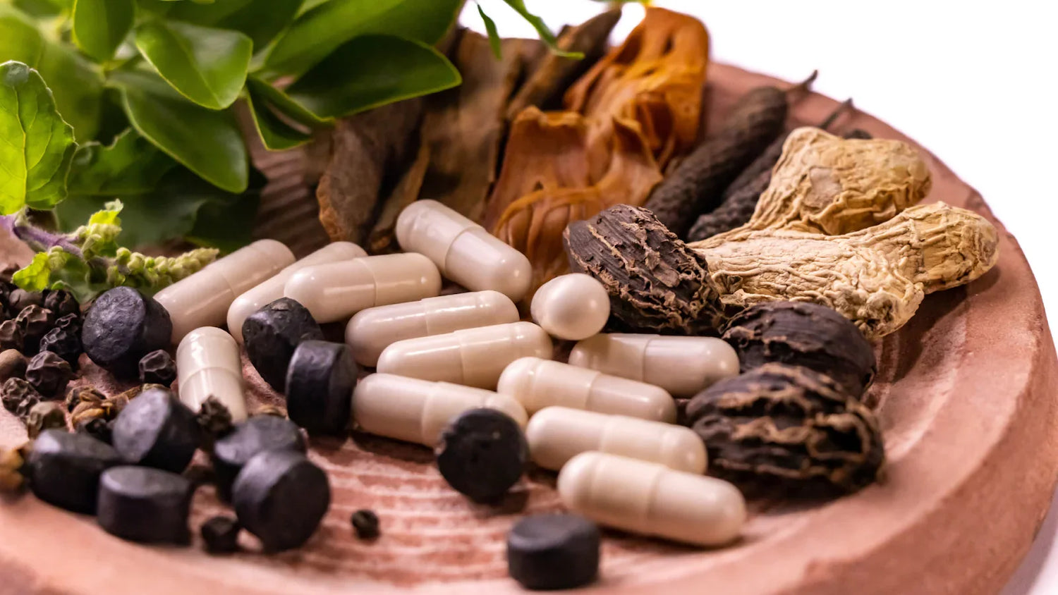 Ayurveda and Cancer
