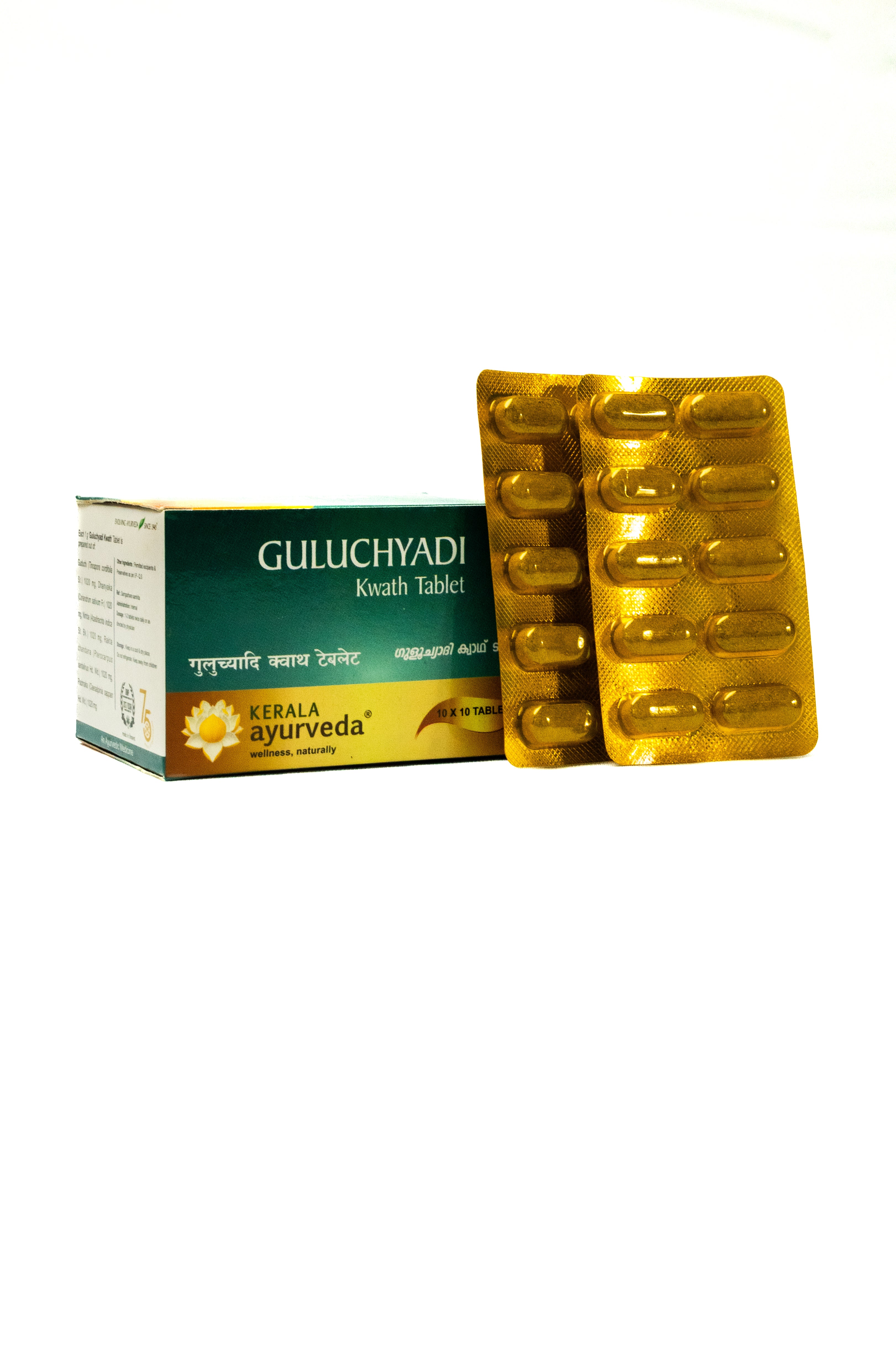 Guluchyadi Kwath Tablet 100 Nos